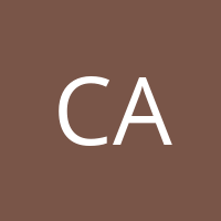 CVE Audit