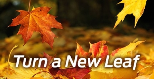 fall.jpg