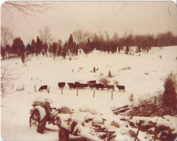 farm1